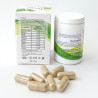 Capsules Trex Detox - Capsules minceur diététiques