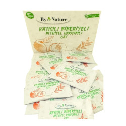 ByNature Detox Tee - Diät Abnehmtee